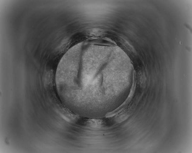 X0000096960328200802291127