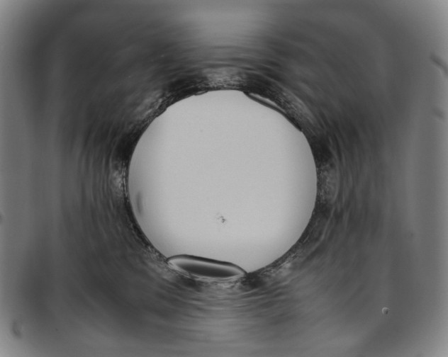 X0000096960329200802291127