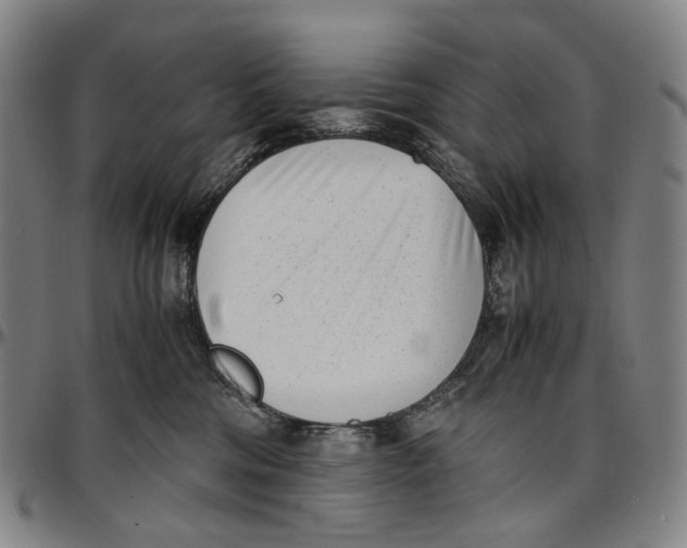 X0000096960330200802291127