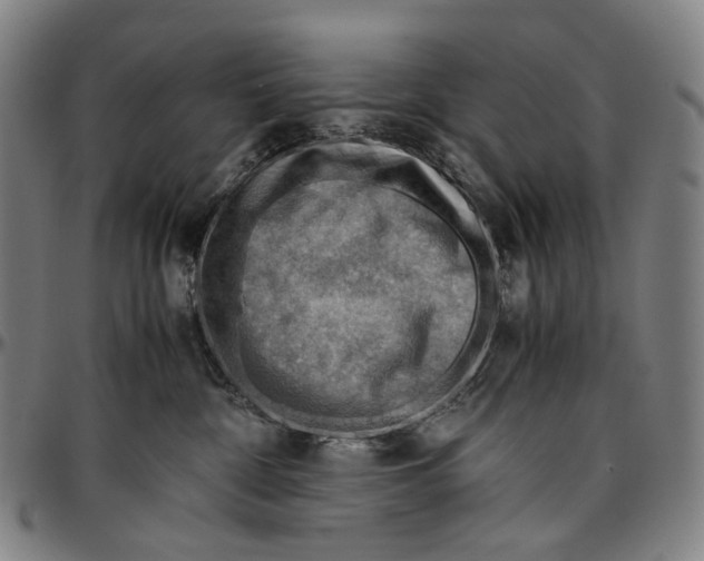 X0000096960332200802291127