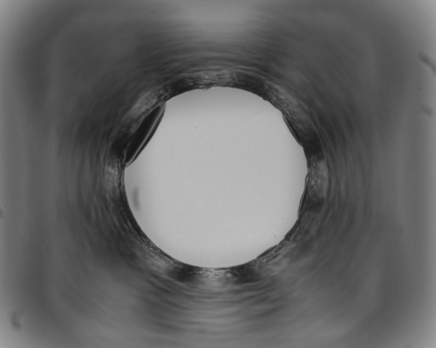 X0000096960333200802291127