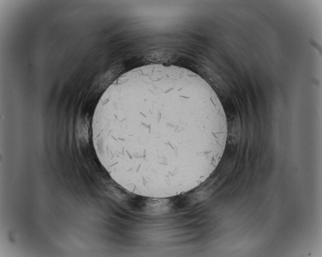 X0000096960334200802291127