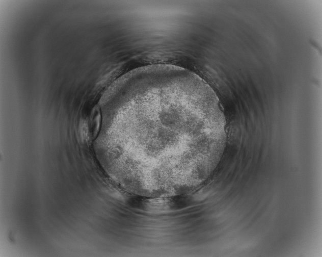 X0000096960335200802291127