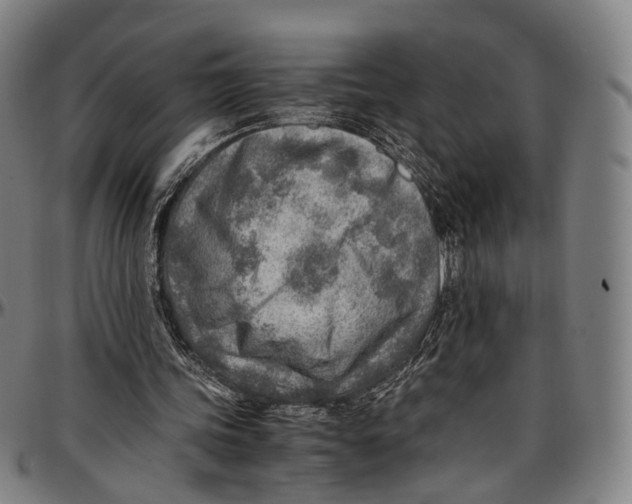 X0000096960339200802291126