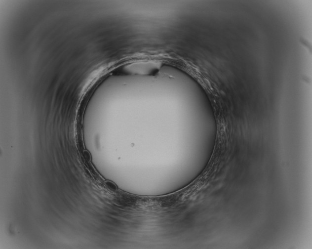 X0000096960340200802291126