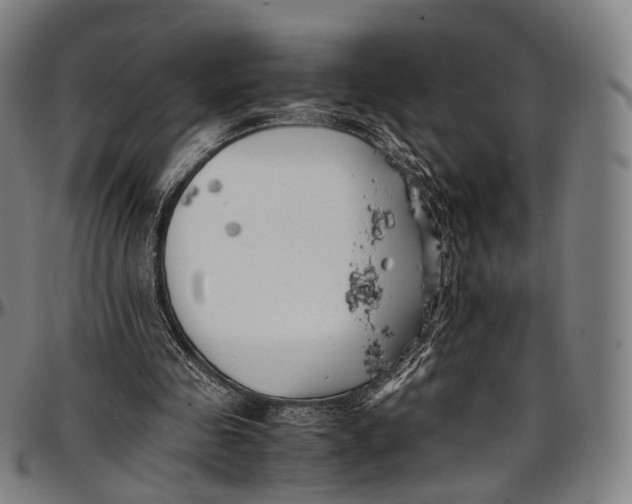 X0000096960341200802291126