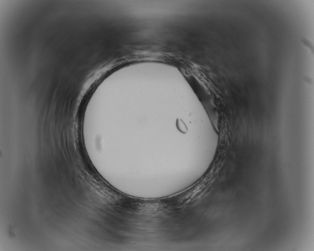 X0000096960342200802291126