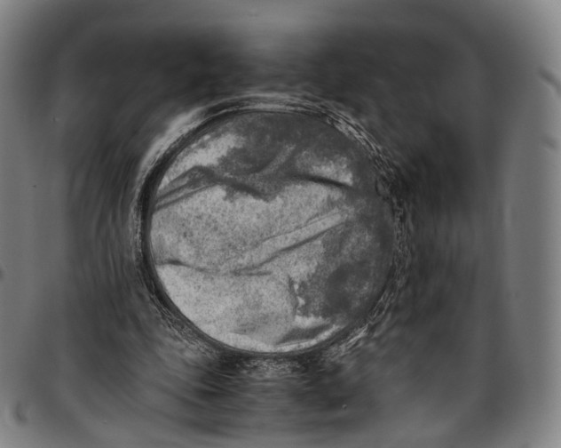 X0000096960343200802291126