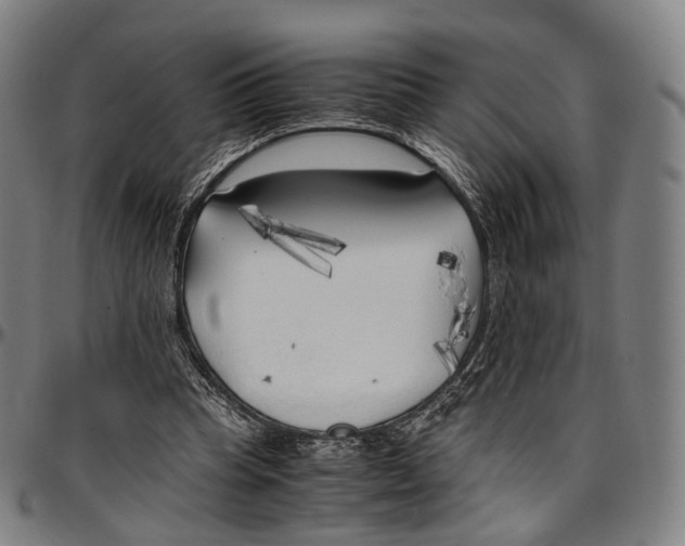 X0000096960345200802291126