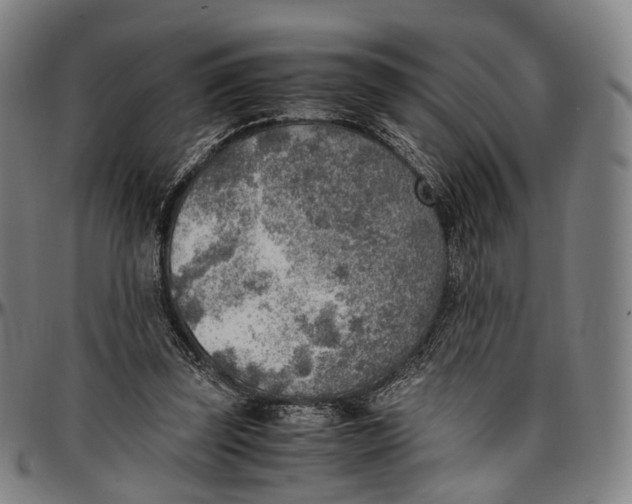 X0000096960347200802291126