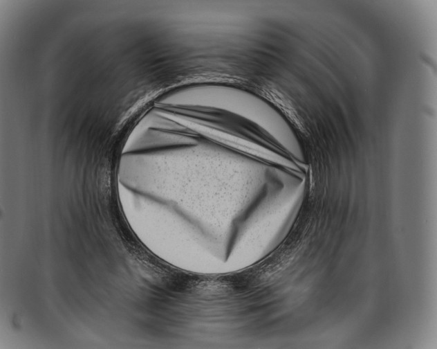 X0000096960348200802291126