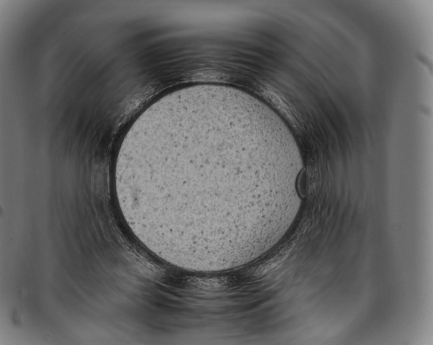 X0000096960349200802291126