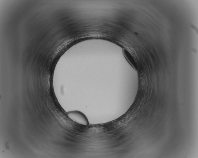 X0000096960350200802291126