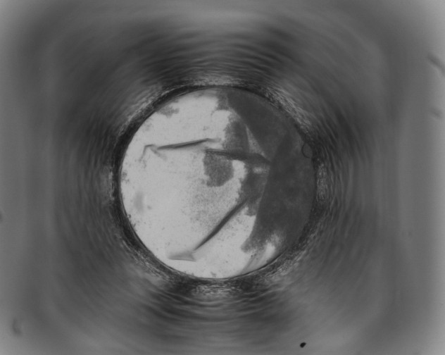 X0000096960351200802291126