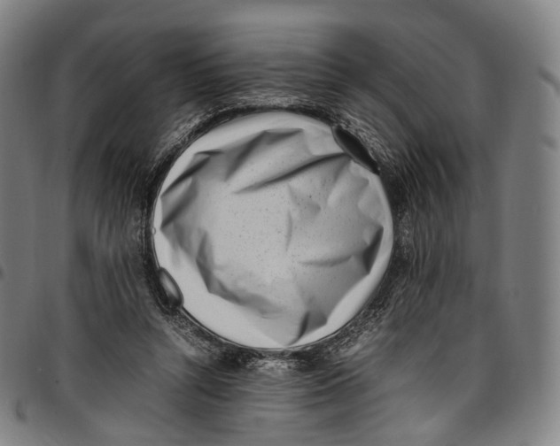 X0000096960352200802291126