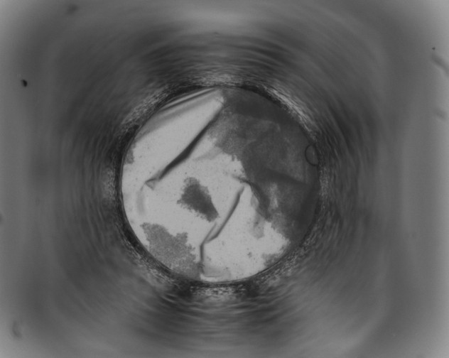 X0000096960353200802291126