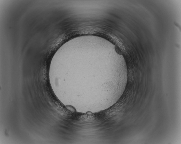 X0000096960354200802291126