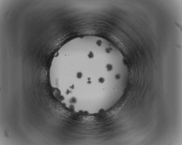 X0000096960355200802291127