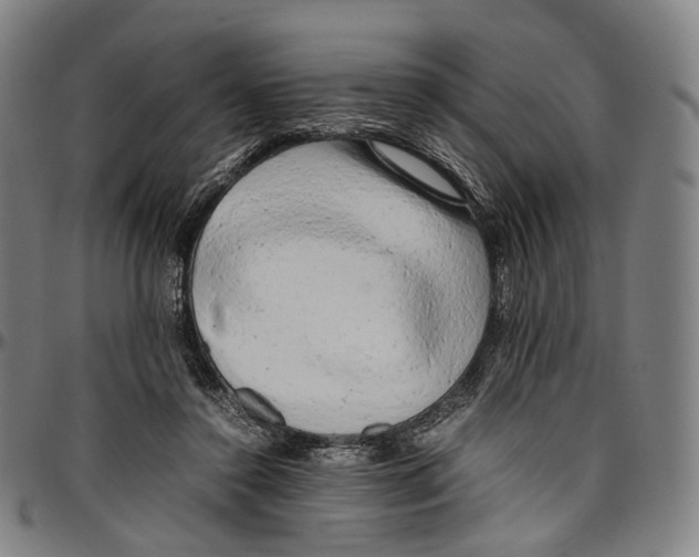 X0000096960356200802291127