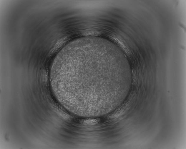 X0000096960357200802291127