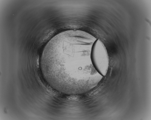 X0000096960358200802291127