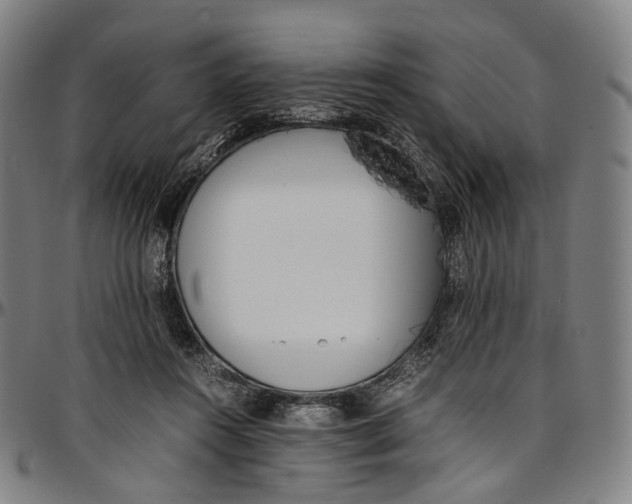 X0000096960360200802291127