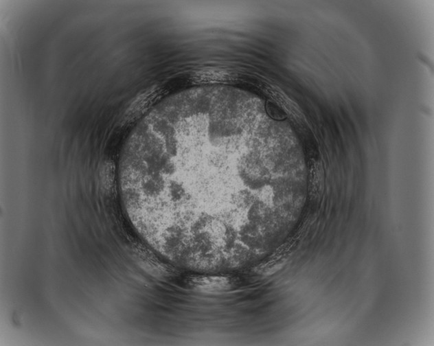 X0000096960361200802291127