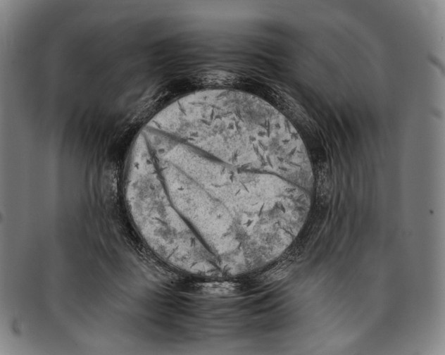 X0000096960363200802291127