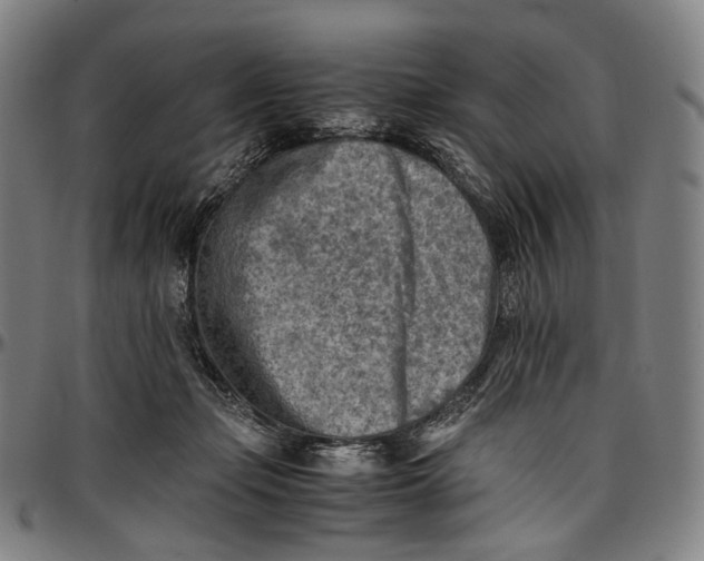 X0000096960365200802291127