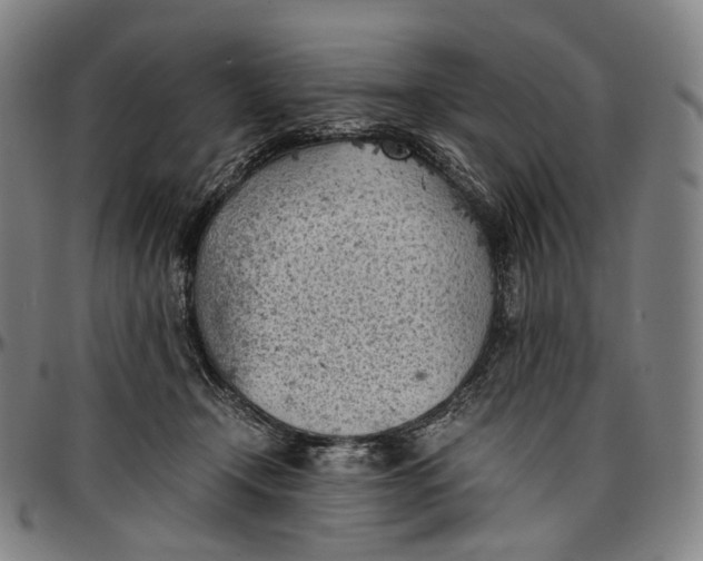 X0000096960366200802291127