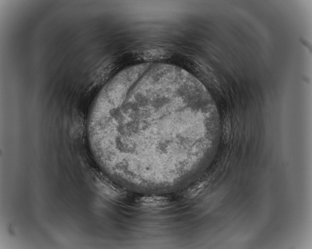 X0000096960367200802291127