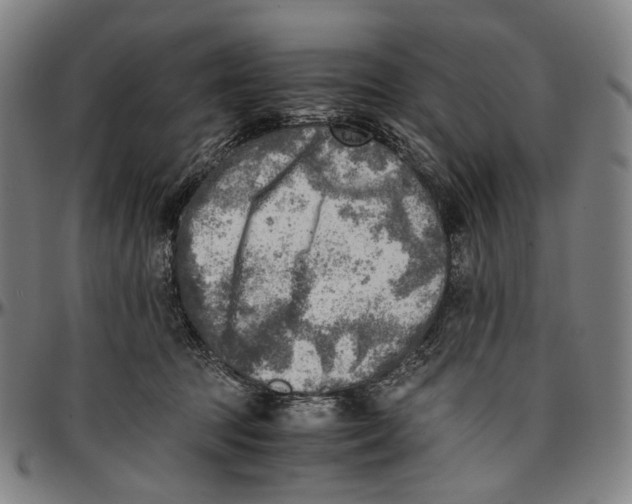 X0000096960369200802291127