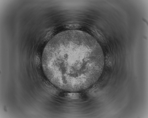 X0000096960371200802291127