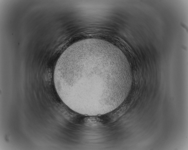 X0000096960372200802291127