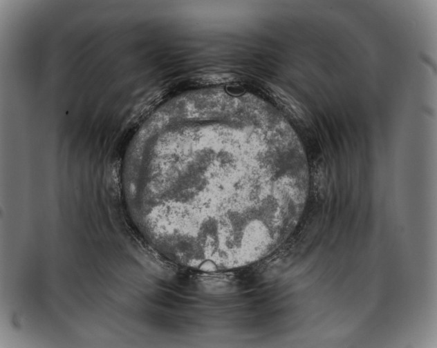 X0000096960373200802291127