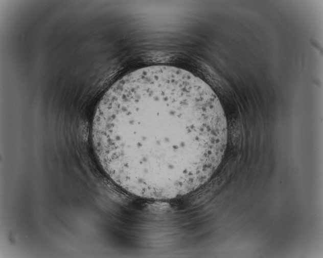 X0000096960374200802291127