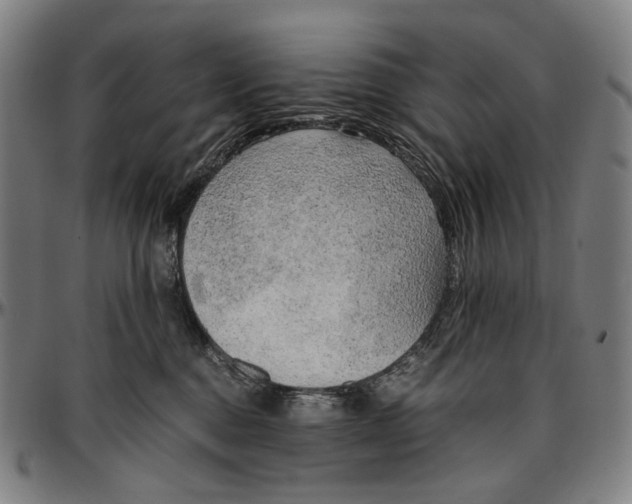 X0000096960376200802291127