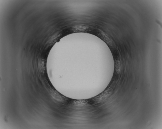 X0000096960378200802291127