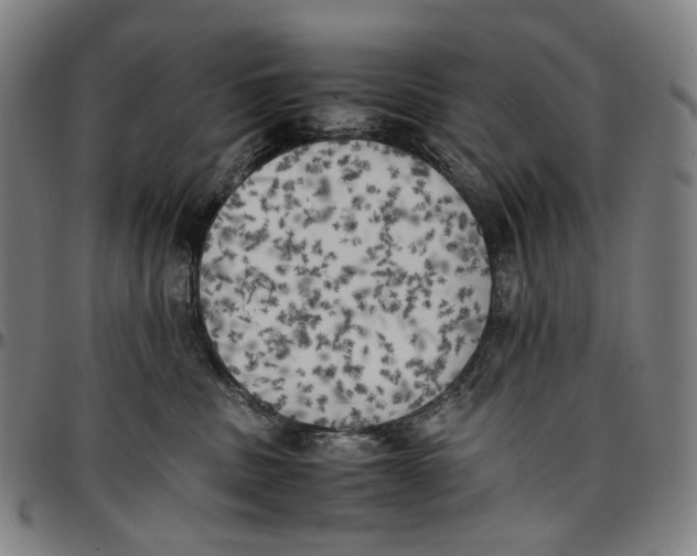 X0000096960379200802291127