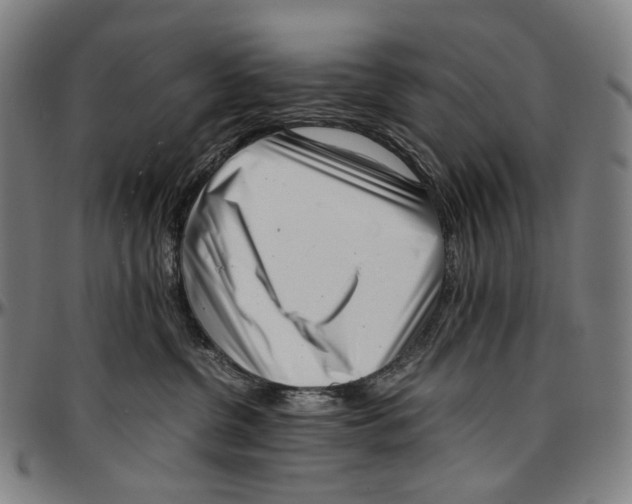 X0000096960380200802291127