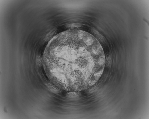 X0000096960381200802291127