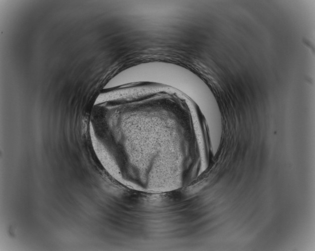 X0000096960382200802291127