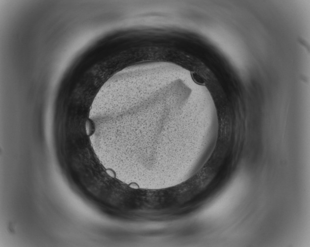 X0000096960383200802291127