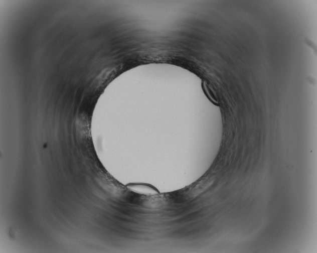 X0000096960384200802291127