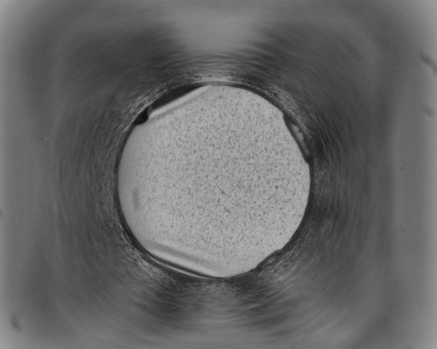 X0000096960385200802291126