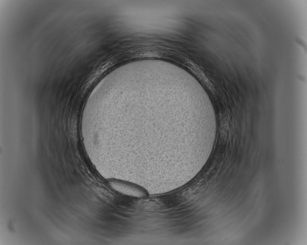 X0000096960386200802291126