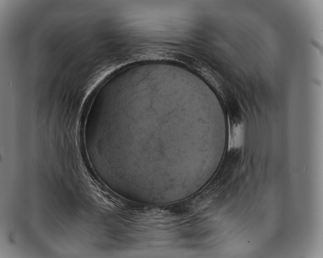 X0000096960387200802291126