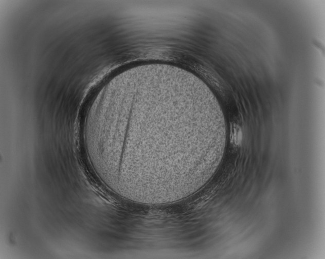 X0000096960388200802291126