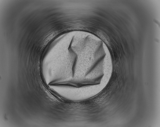 X0000096960389200802291126