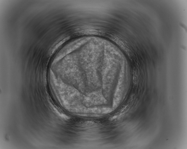 X0000096960390200802291126